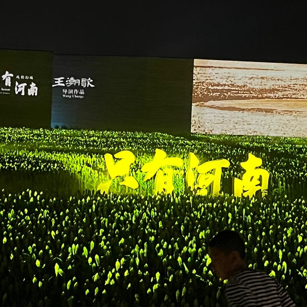 沐叶
