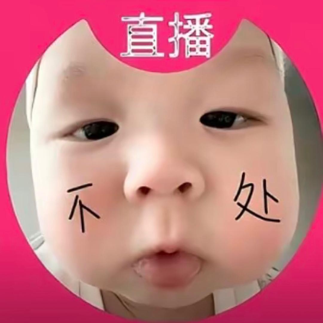 猪是的念着倒