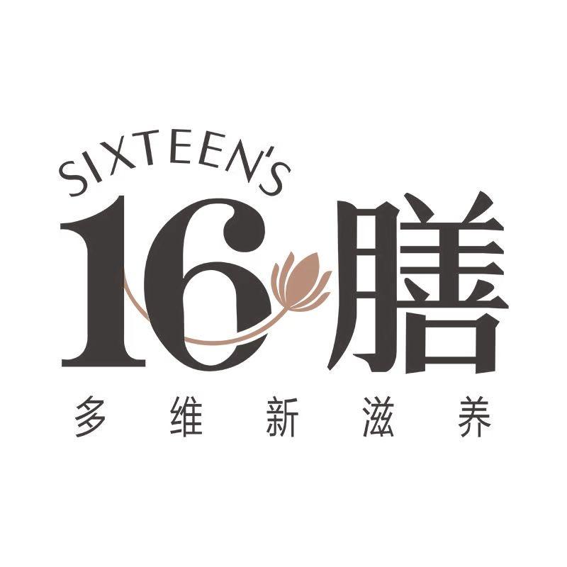 十六少年团