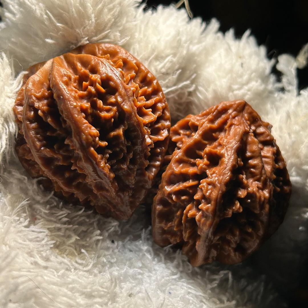 聚核财（楸子九）