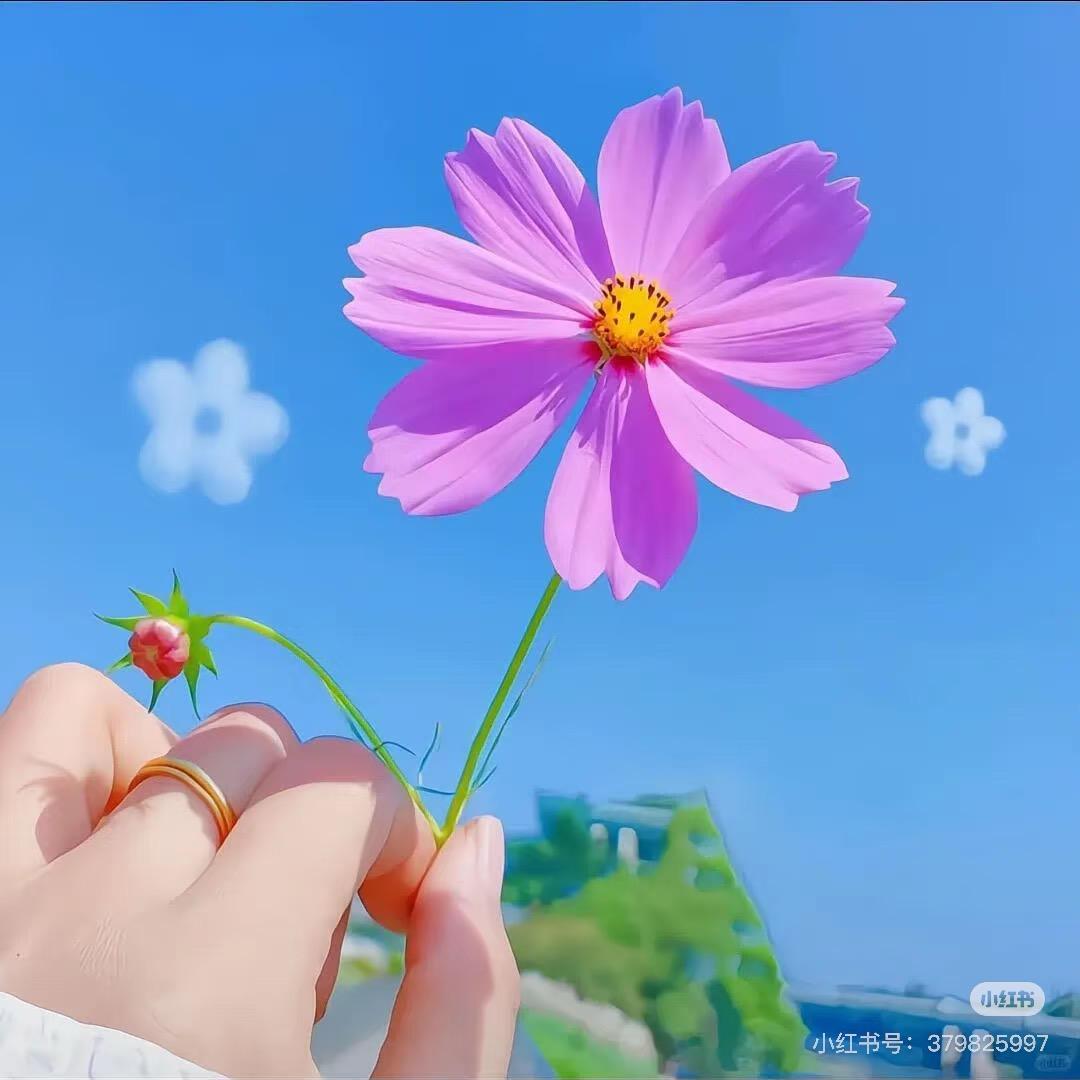 涛涛