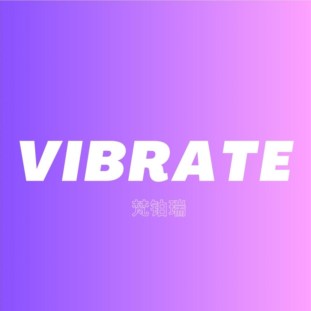 VIBRATE轻奢女包