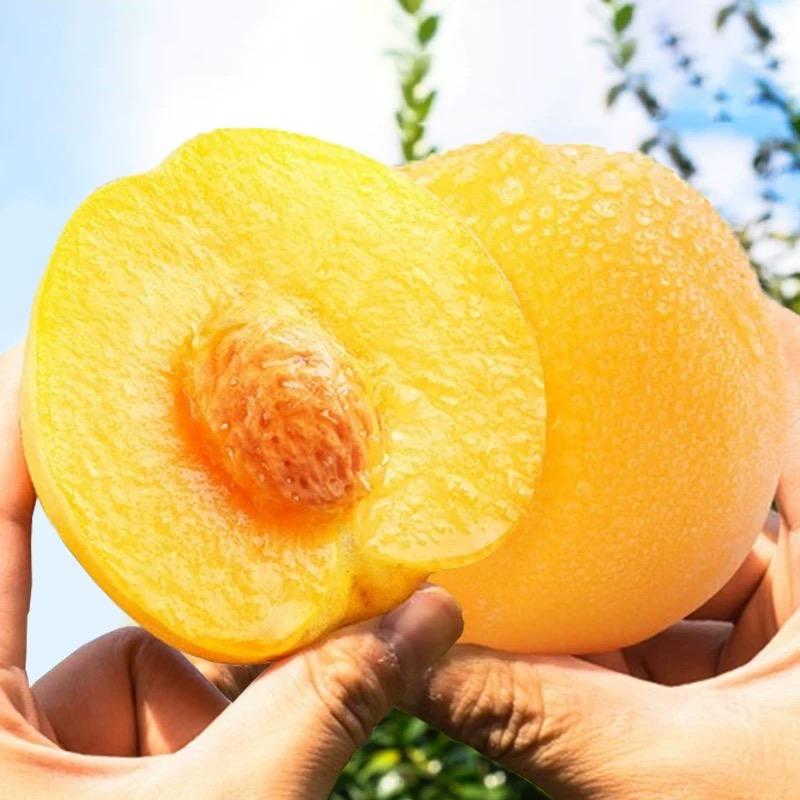 华东生鲜水果供应链