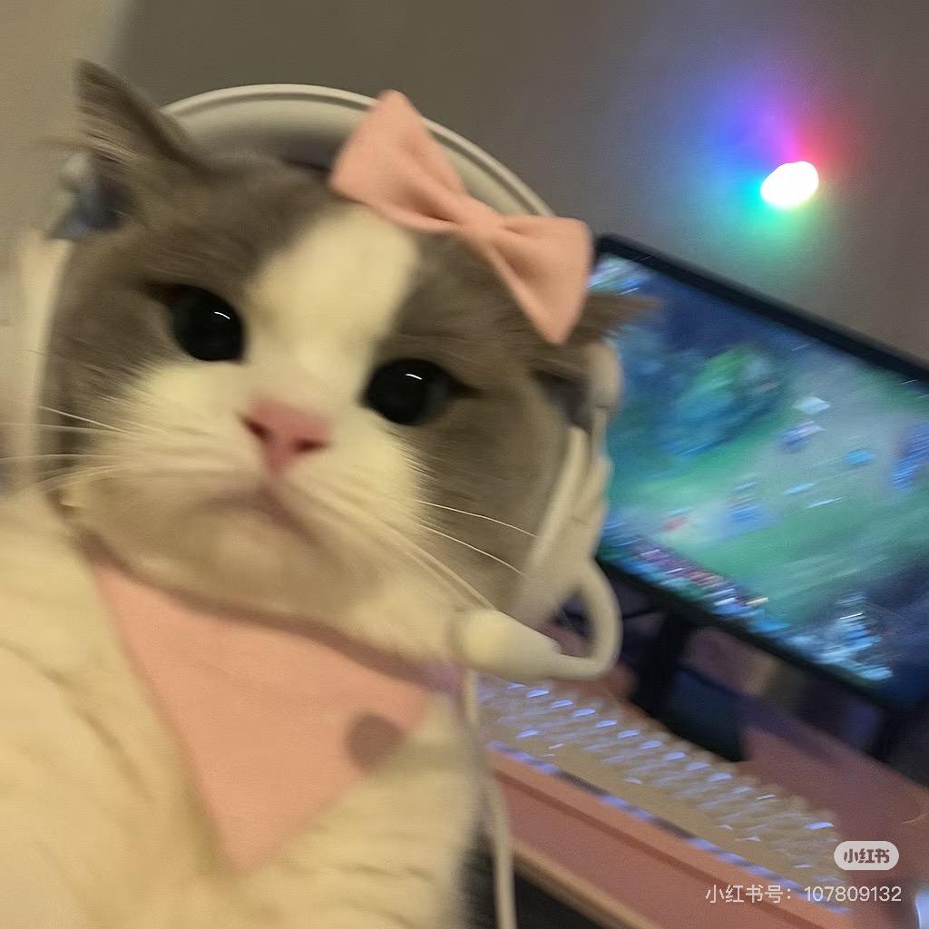 梨椛柿