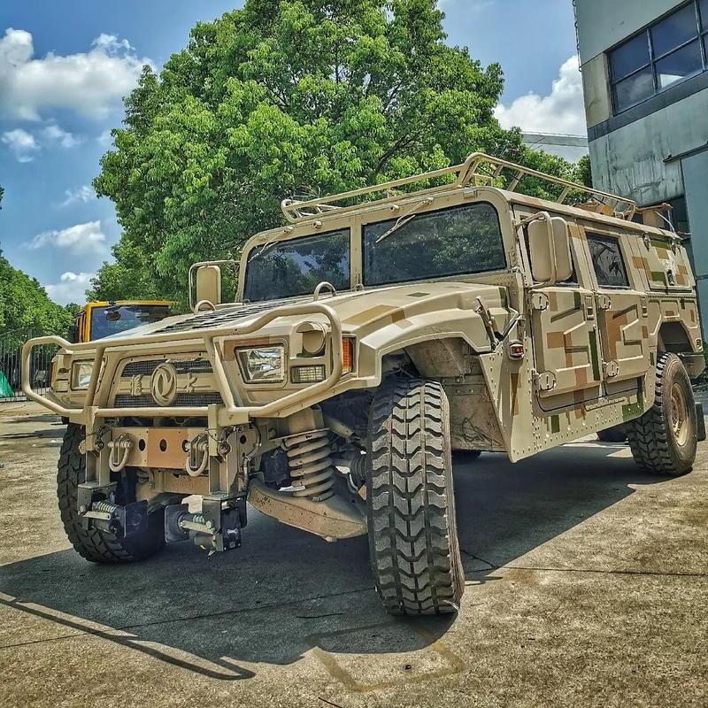 誉哥·可可西里穿山甲