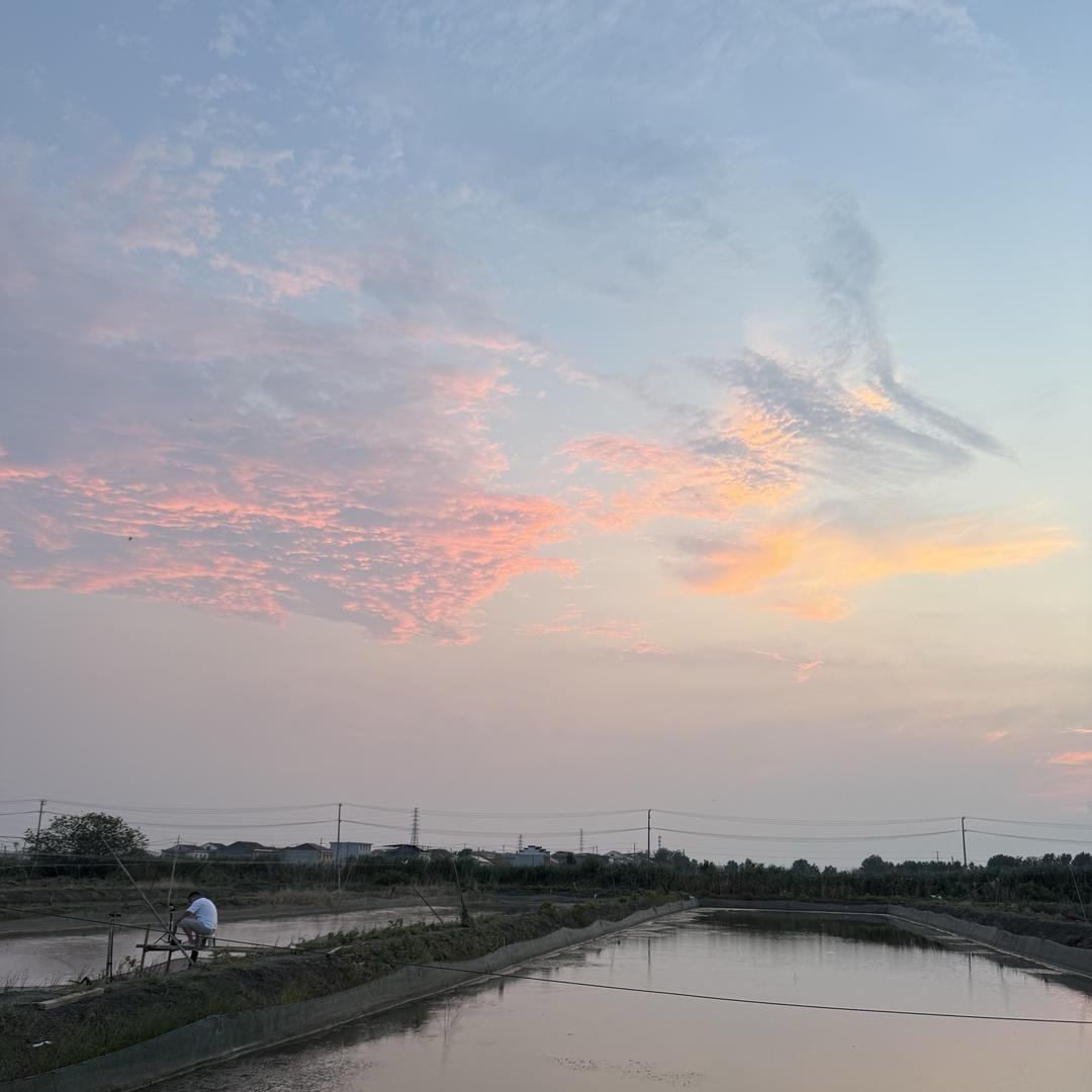 菲姐～泥鳅养殖基地