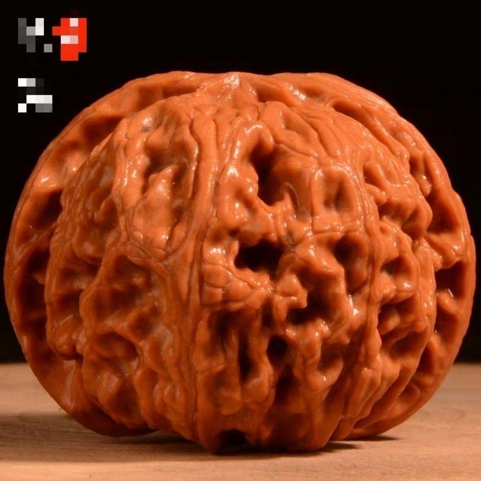 核桃小七七