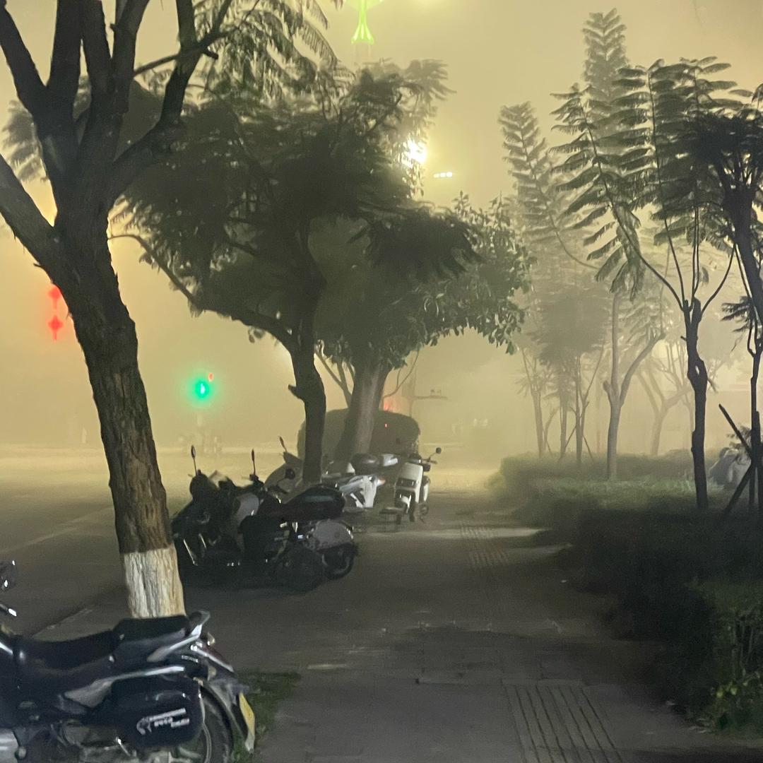 骗自己