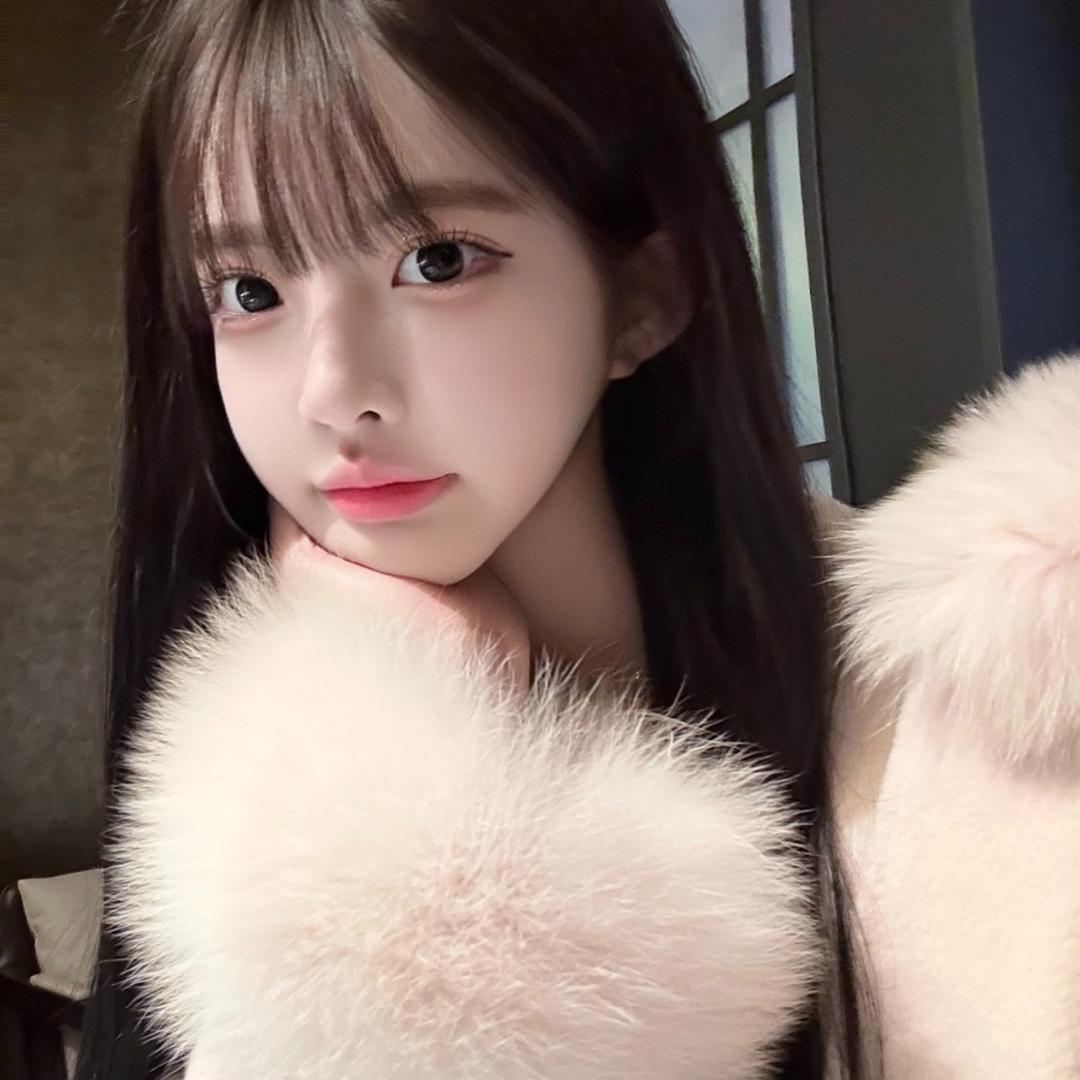 芸妹妹🐰