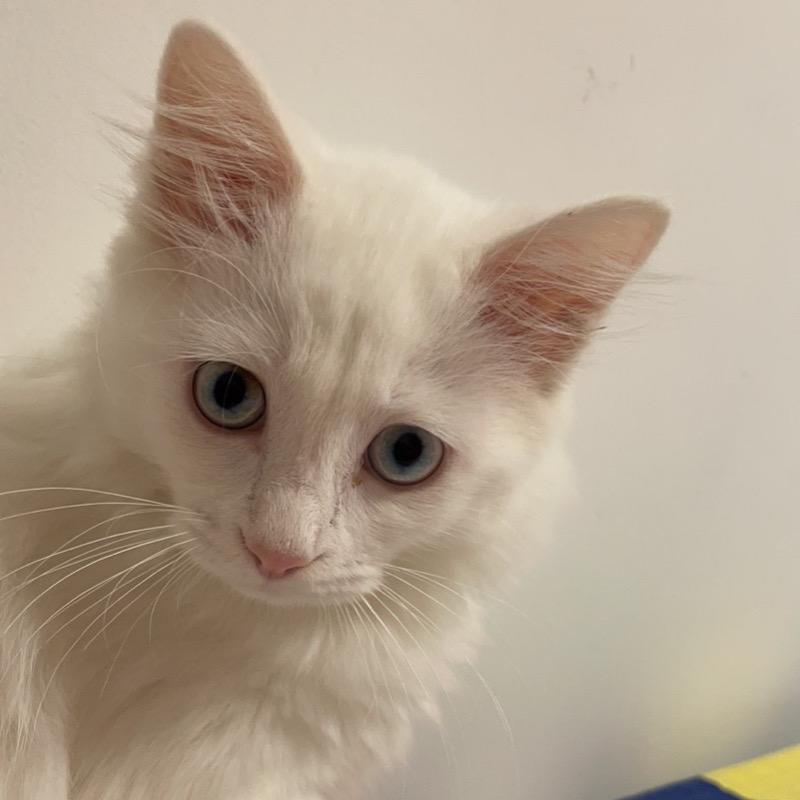 Kiki和Sunlight的小日子