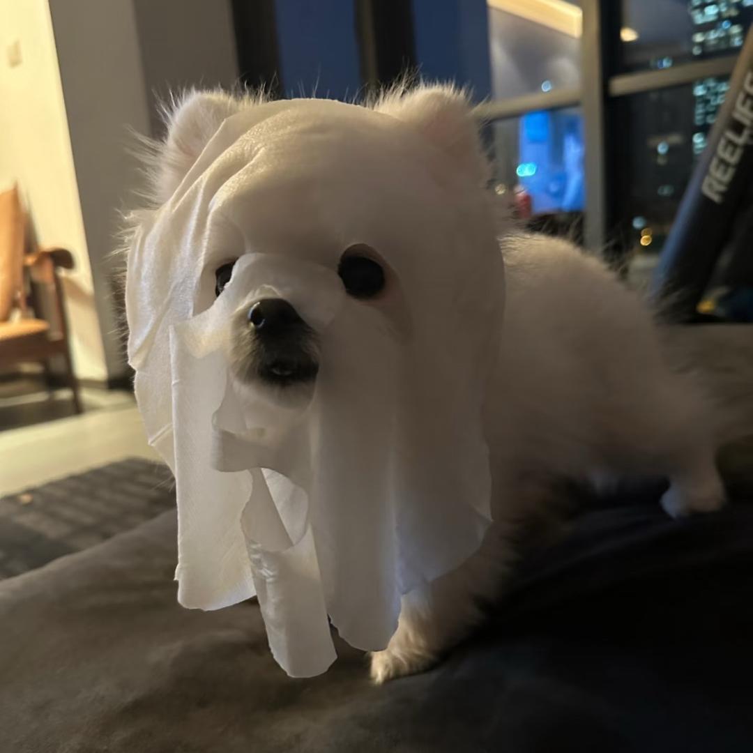 -欣欣