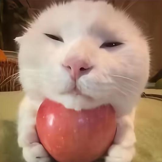qq白白