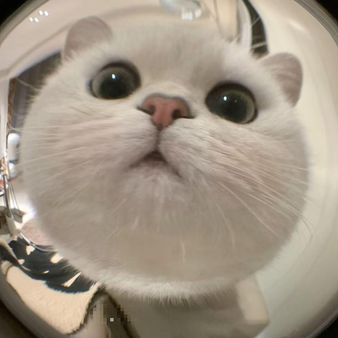 惊蛰_____