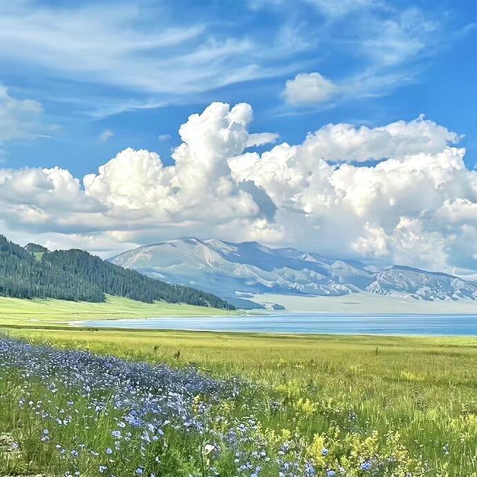 浮屿
