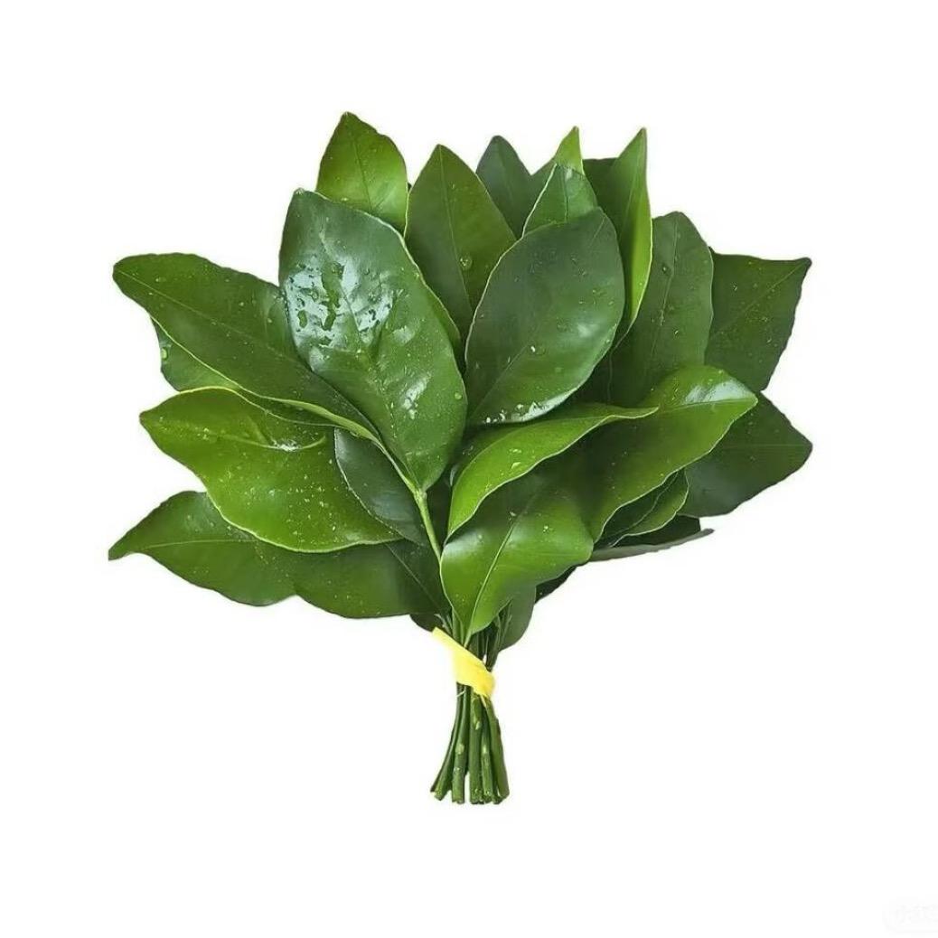 柠檬不语🍋