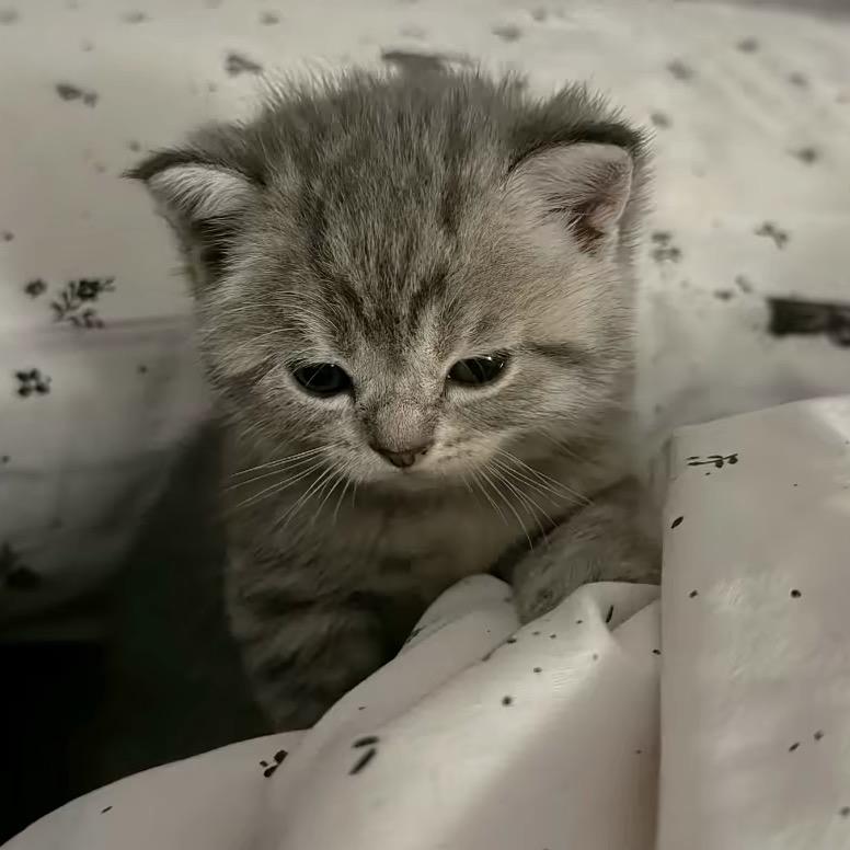 无聊我就看抖音