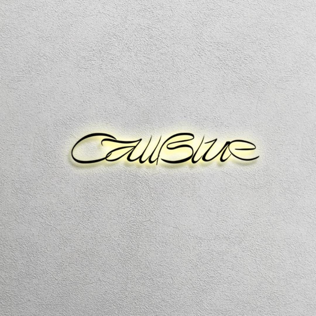 呼叫小蓝CallBlue