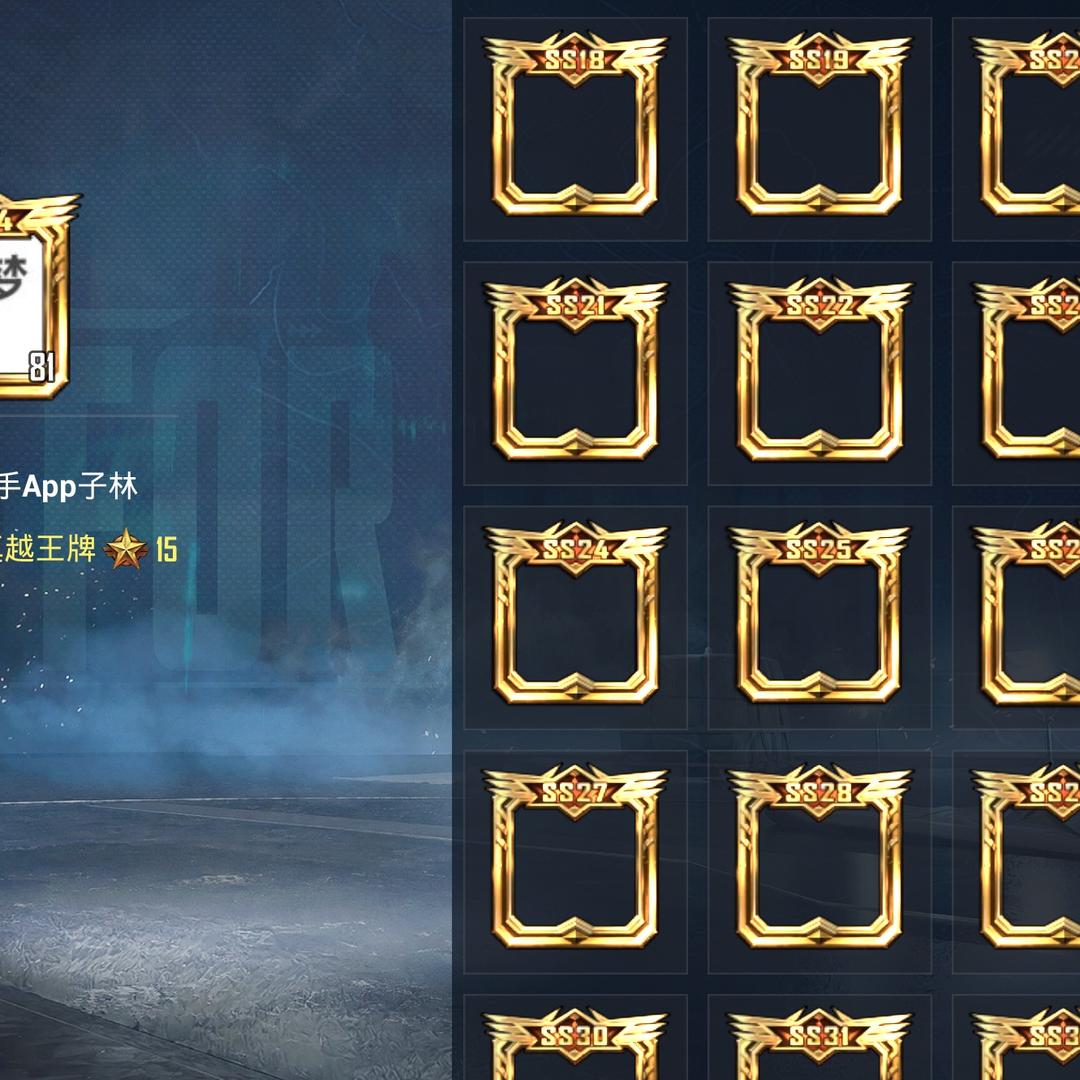 子林和平精英