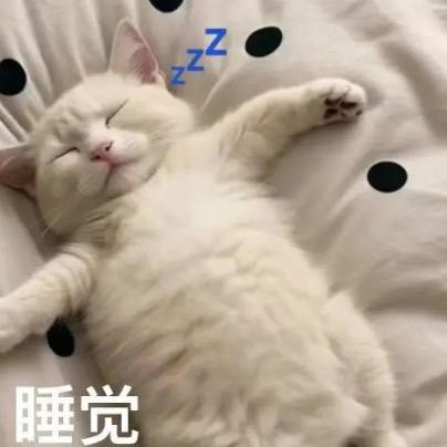 GLORIA🎐yu（不吃晚饭版)