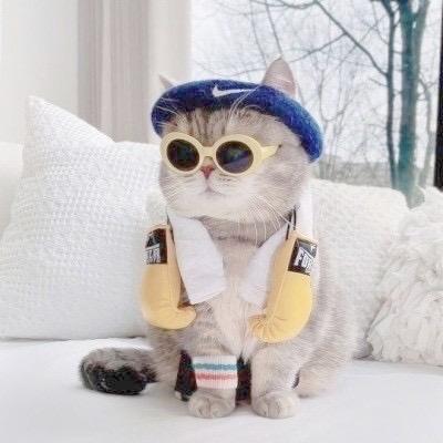 素面朝天花了脸