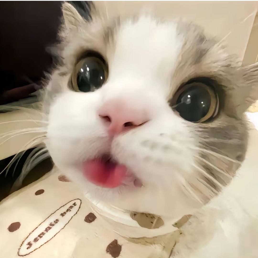 张jjj