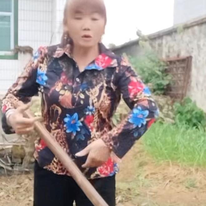 徐凤英