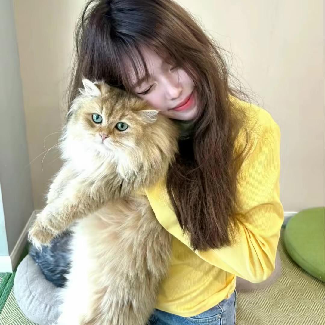 碎冰蓝