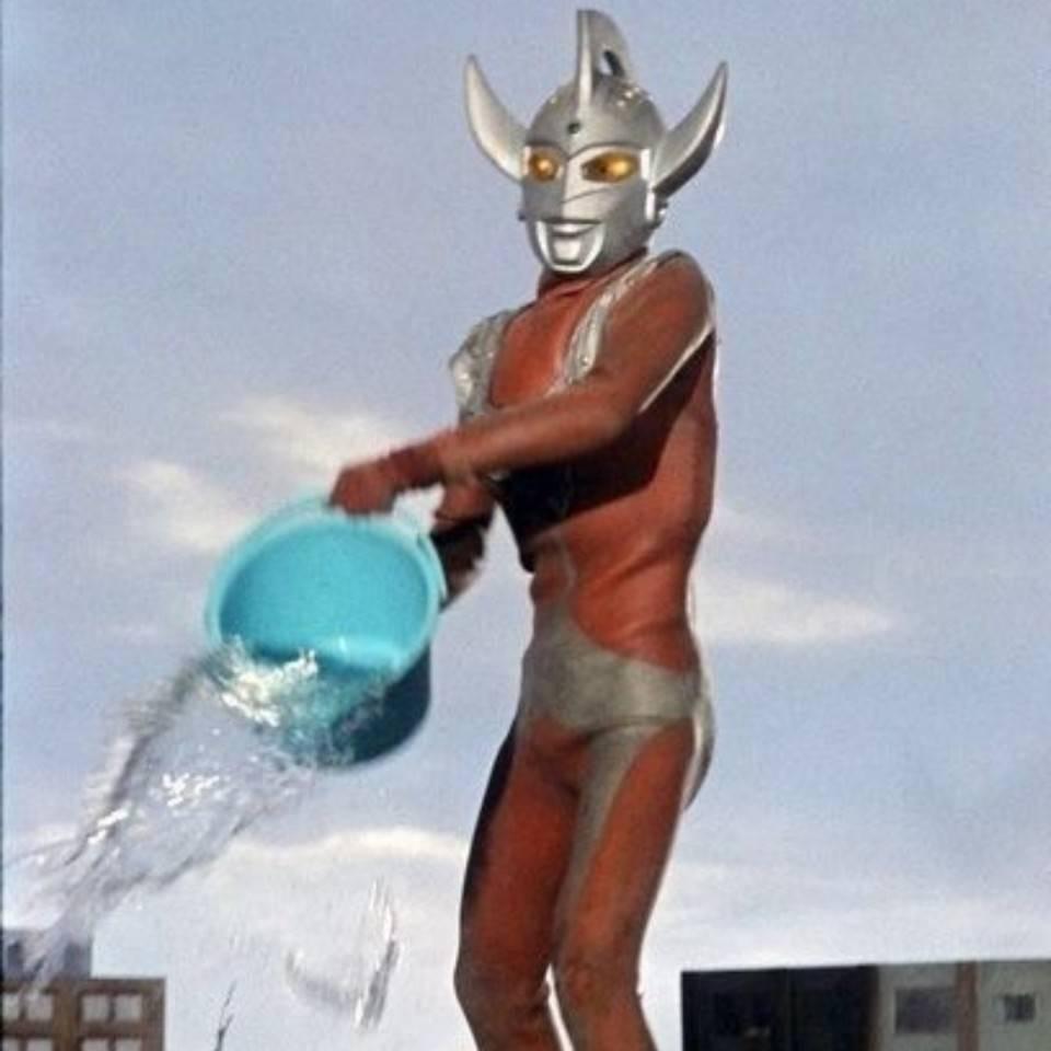 王瑾轩（树洞版