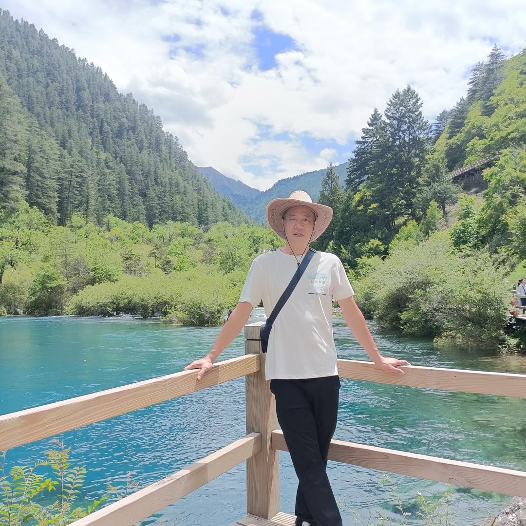 风水树下的人家