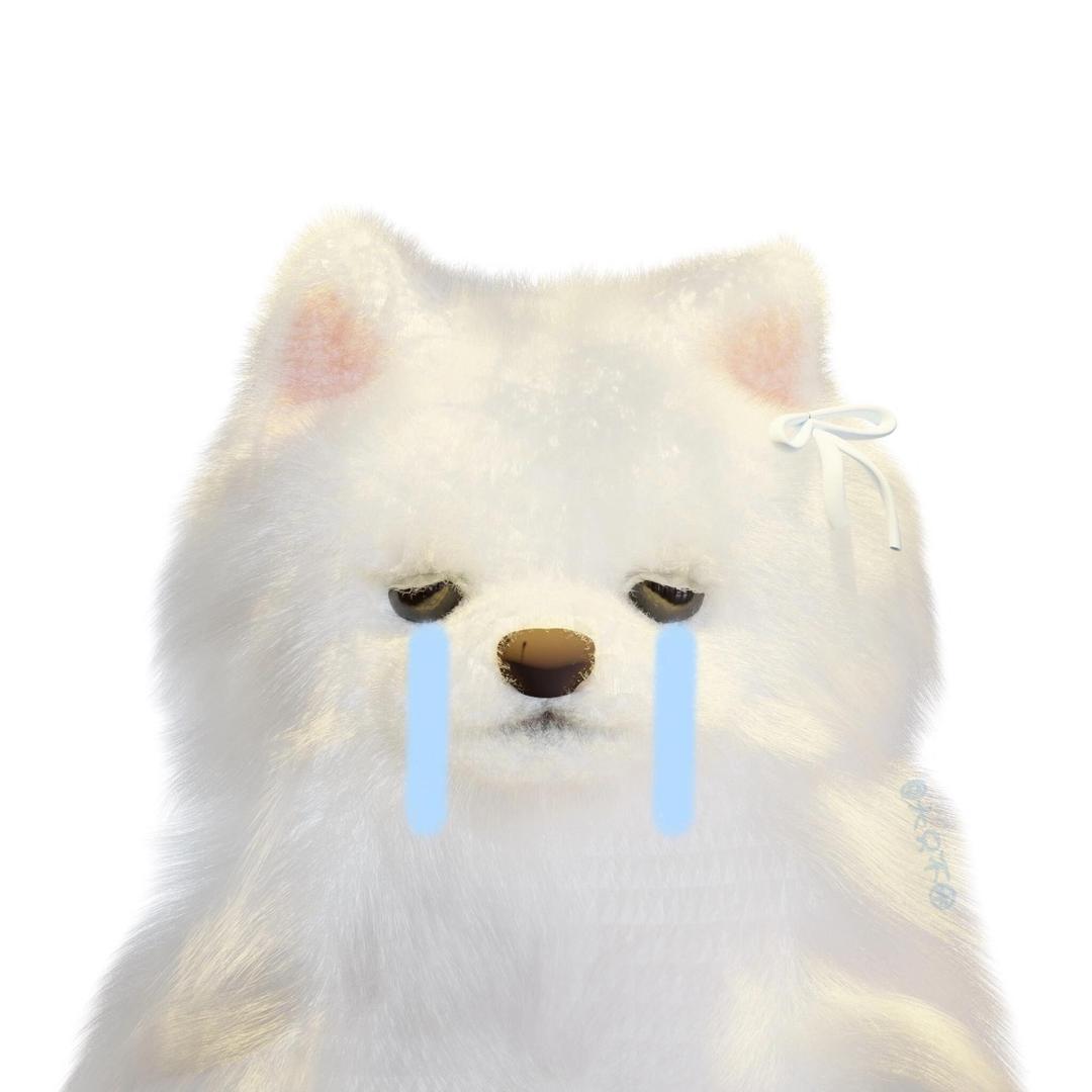 我不是温yy