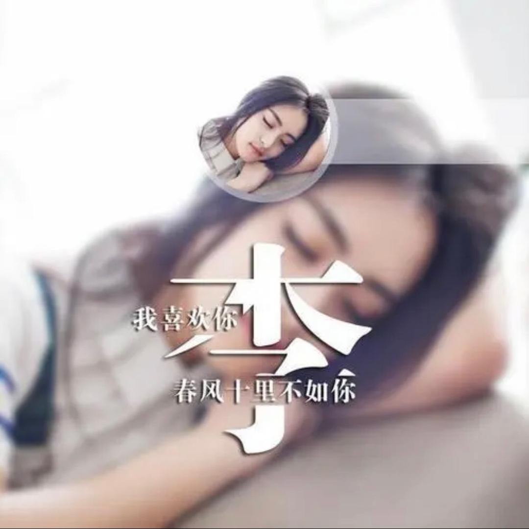 社会仙女