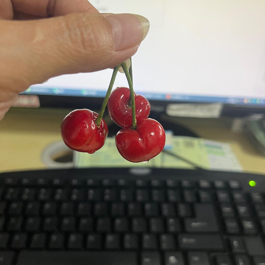 在河之周