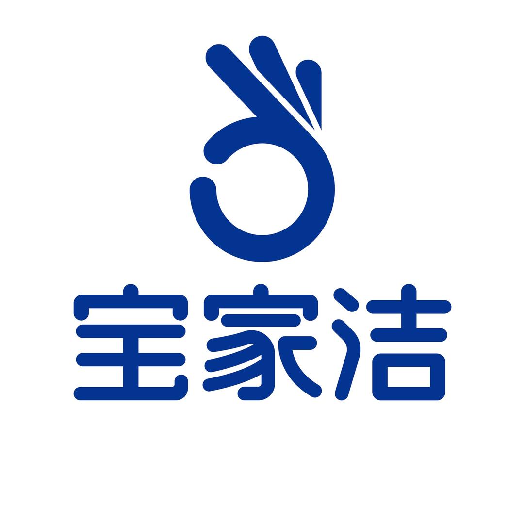 宝家洁新一代清洁专家