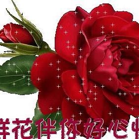 开心就好杨