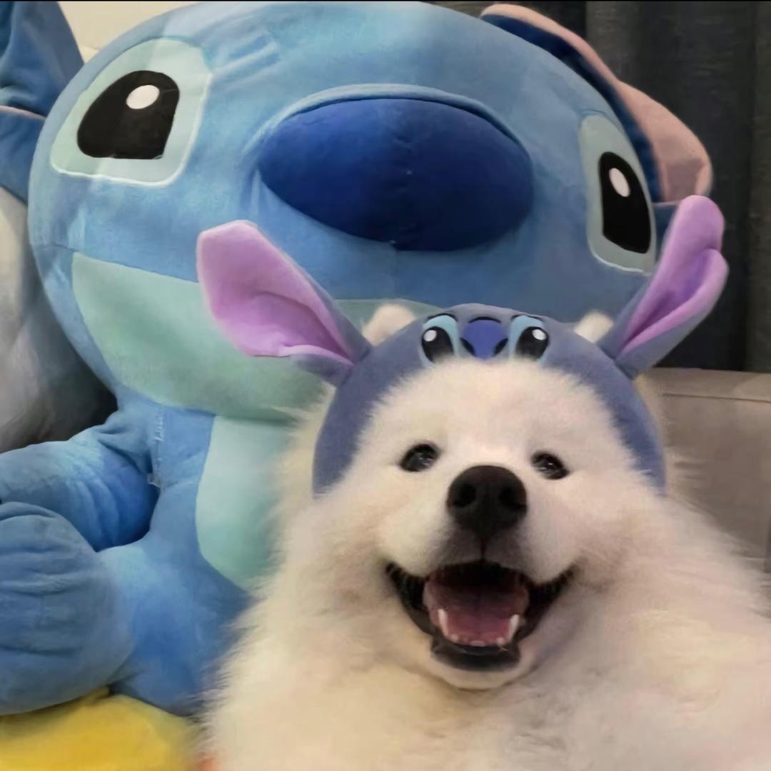yyy