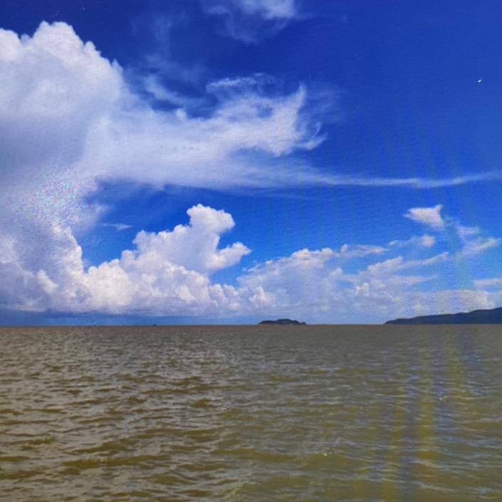 ¥风清云淡¥