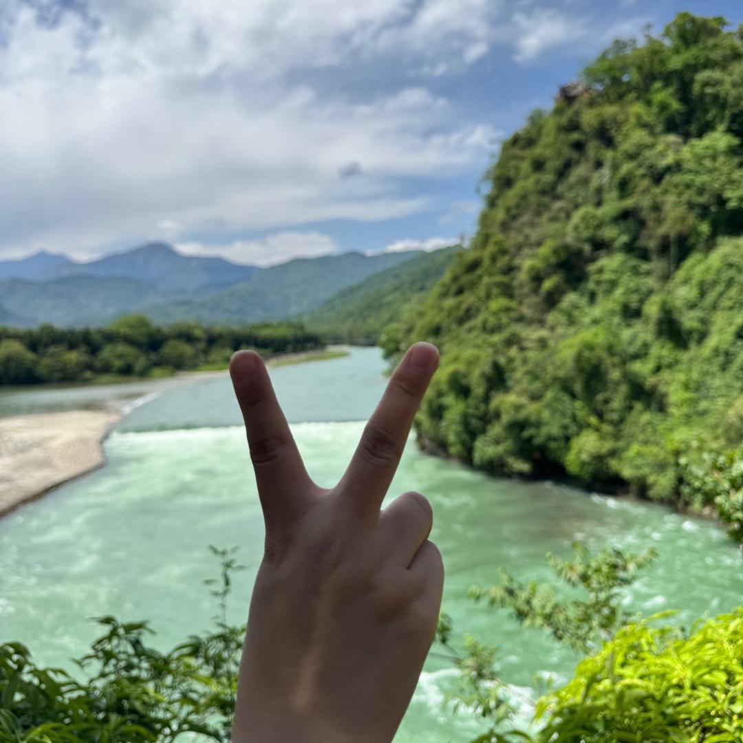 向阳花开🌻