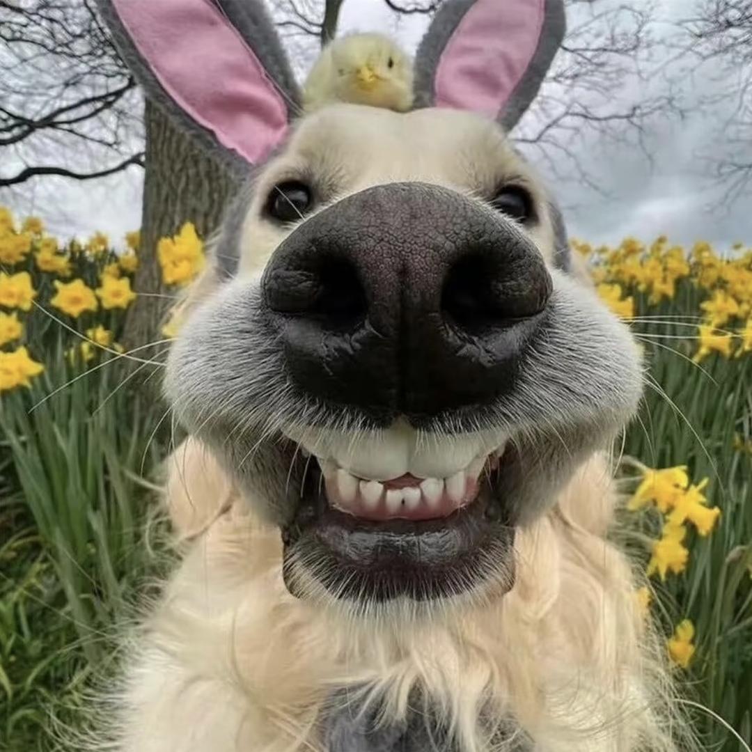 阿朵综合五金小铺子