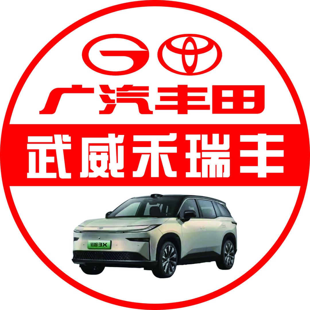 武威新能源—铂智3X体验中心