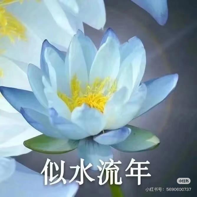 没饭吃的葱油饼