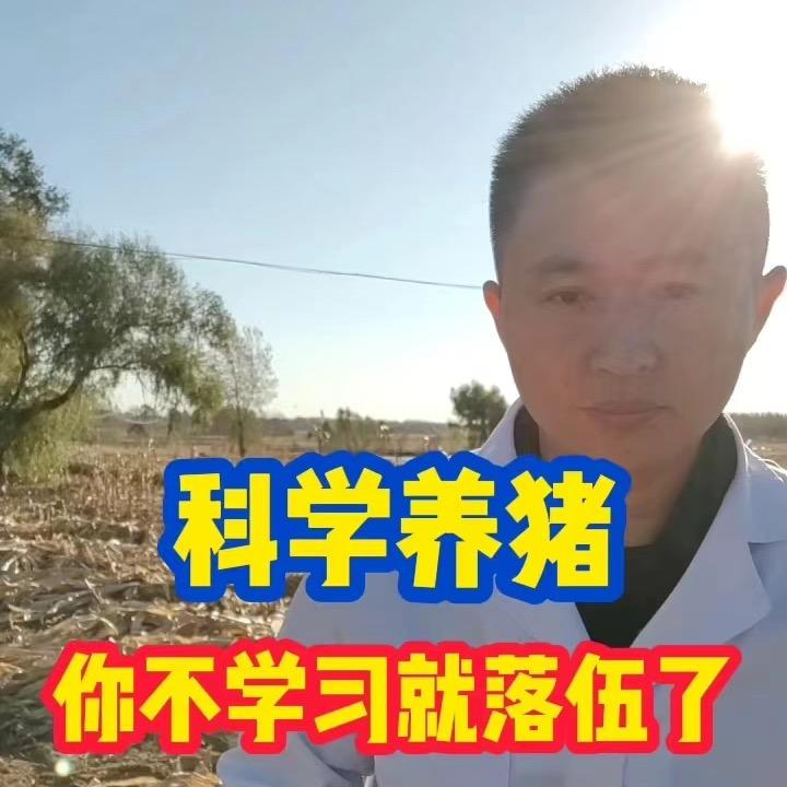 李总说猪事