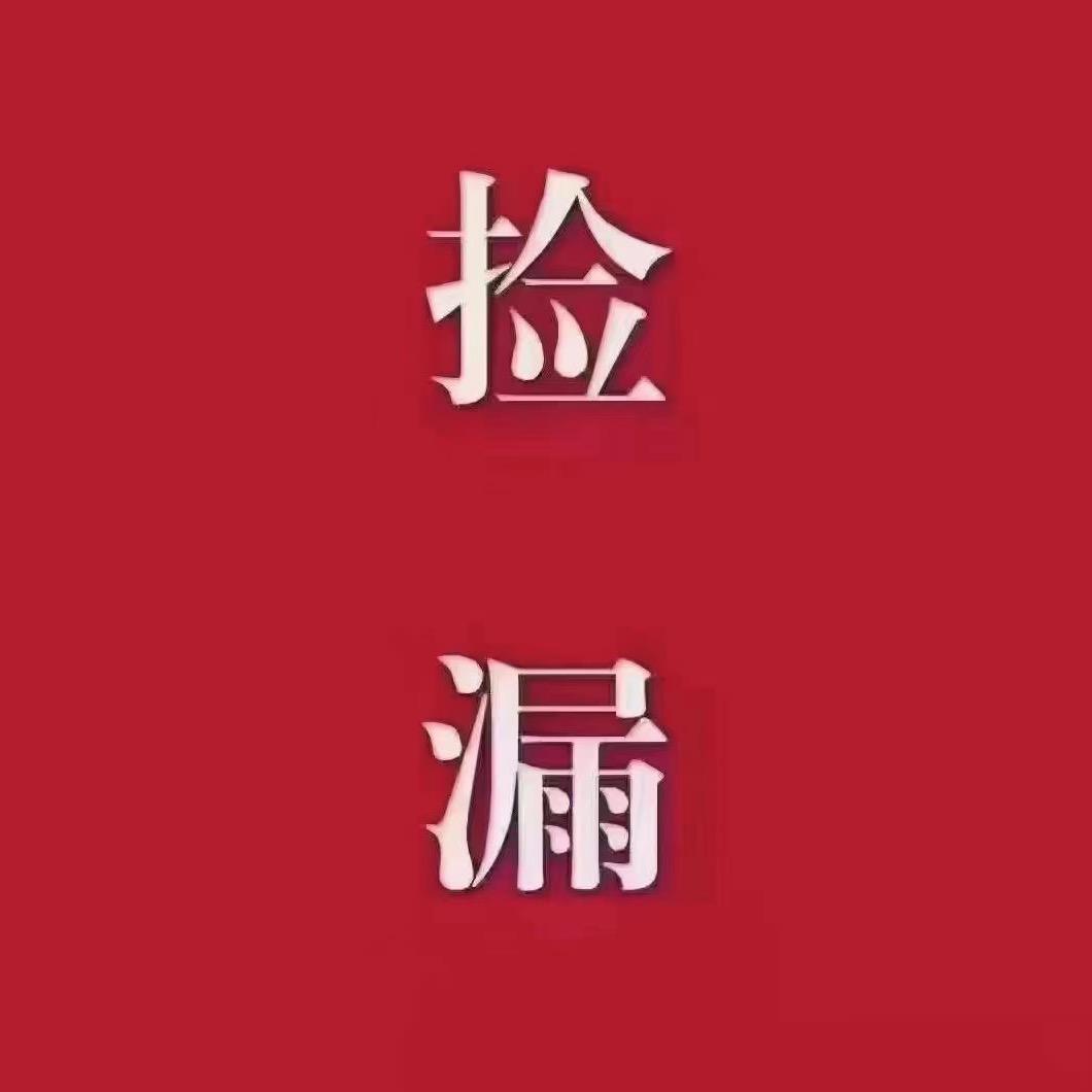 A旭龙