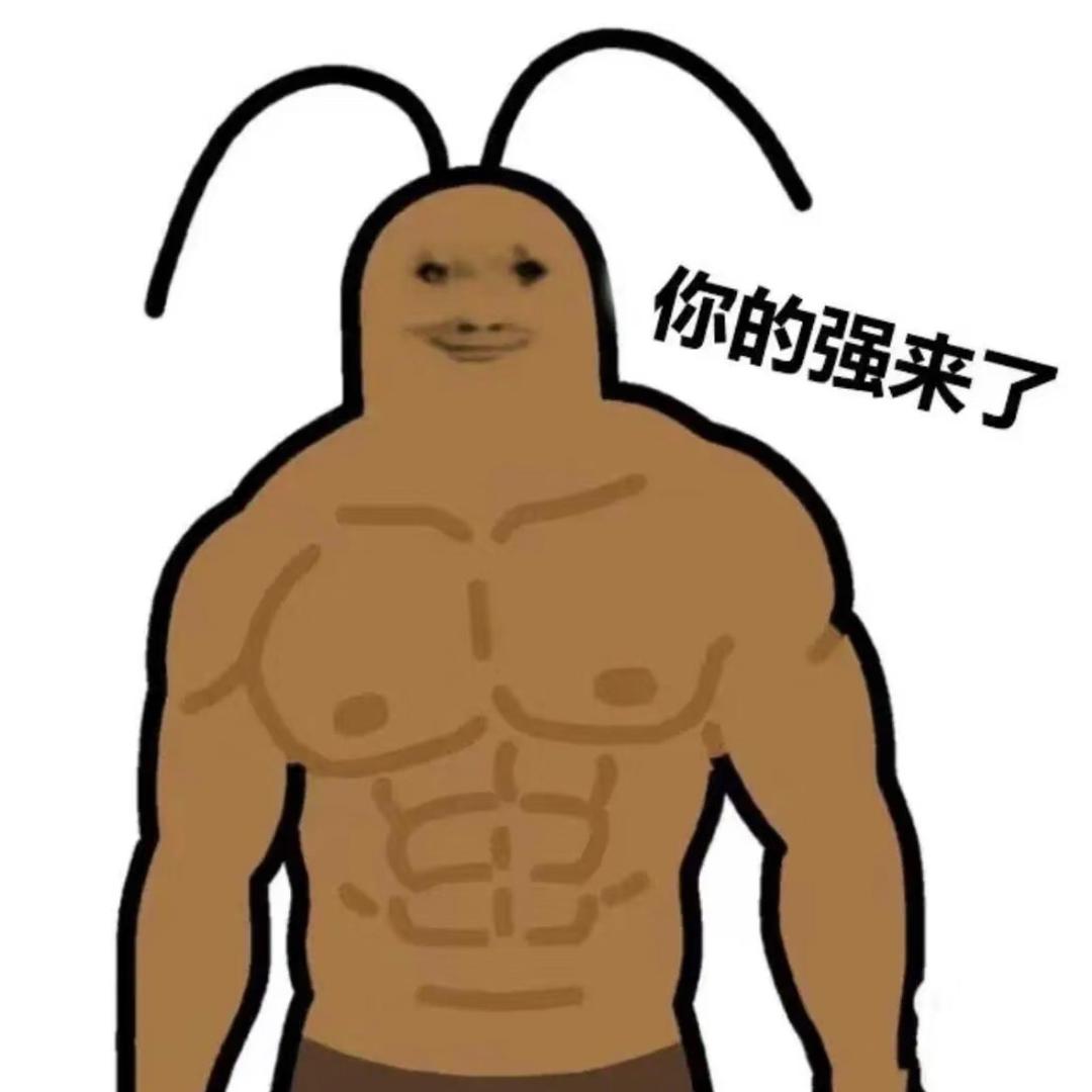 66447703984