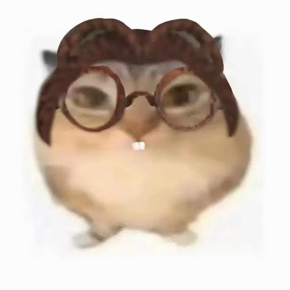 我le个骚钢