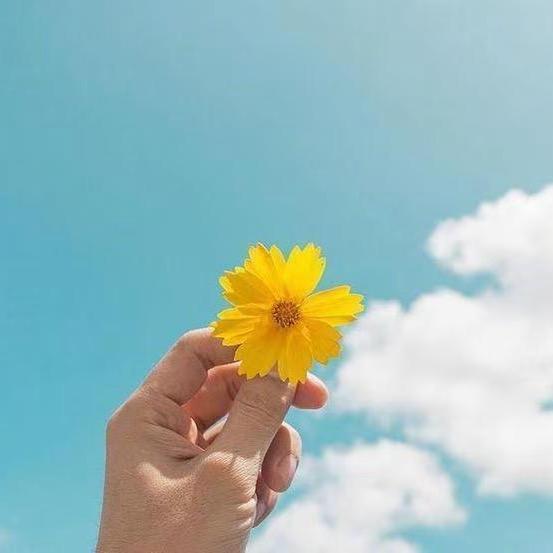 大勇（正能量）