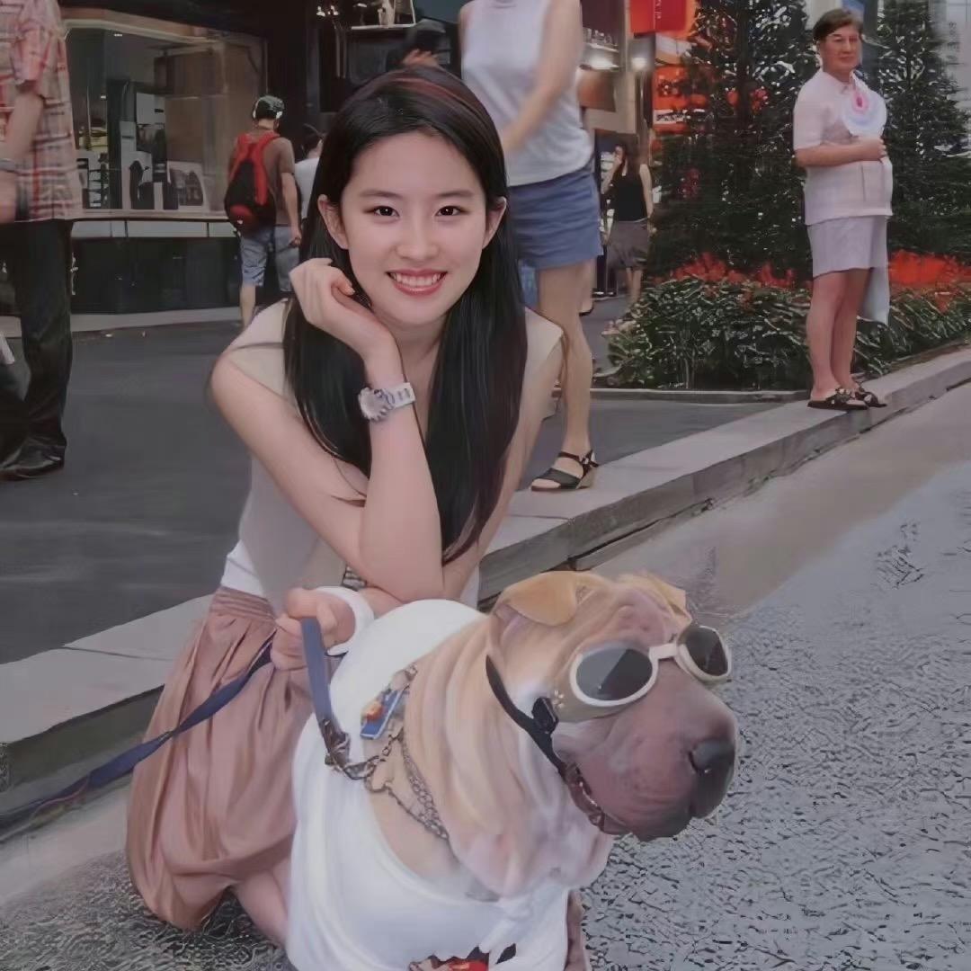 🐱亦菲