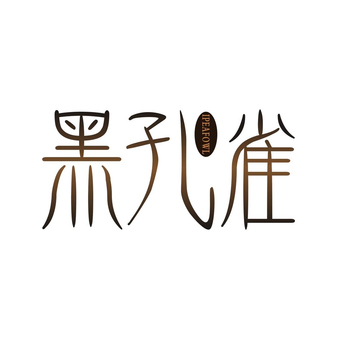 黑孔雀舞蹈艺术