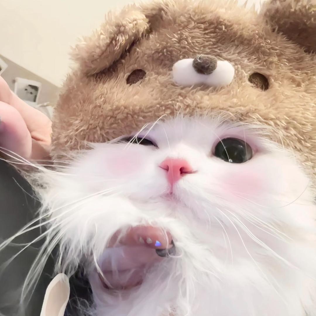 俩孩子