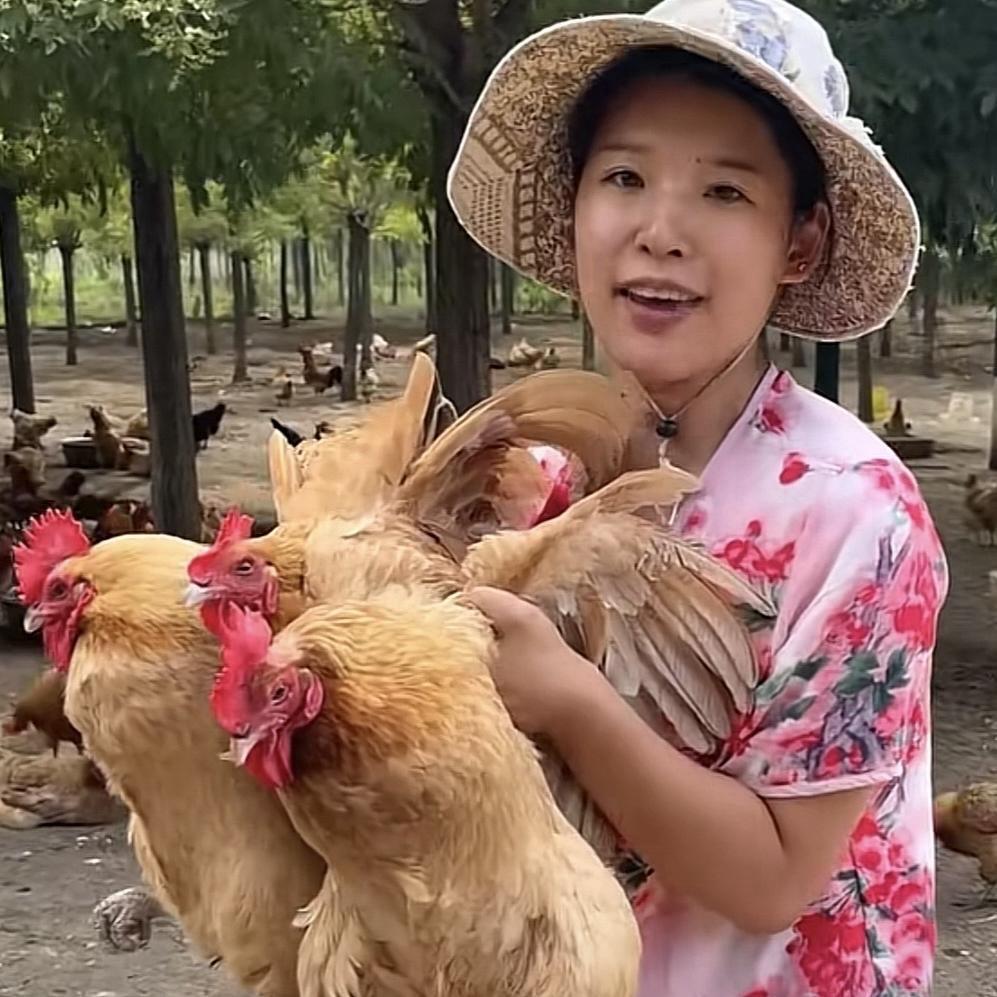 润杰家散养土鸡