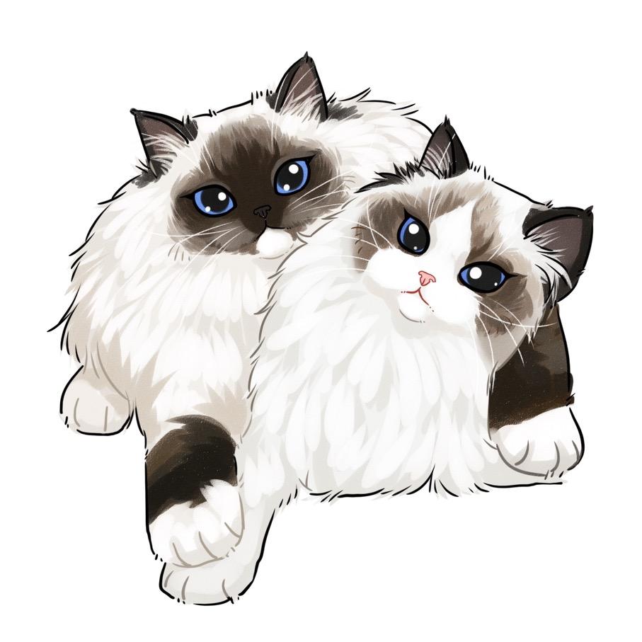 璐璐有猫
